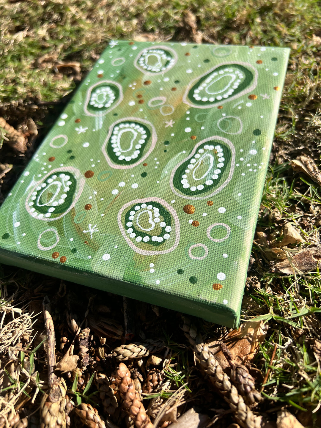 Oysters at Low Tide