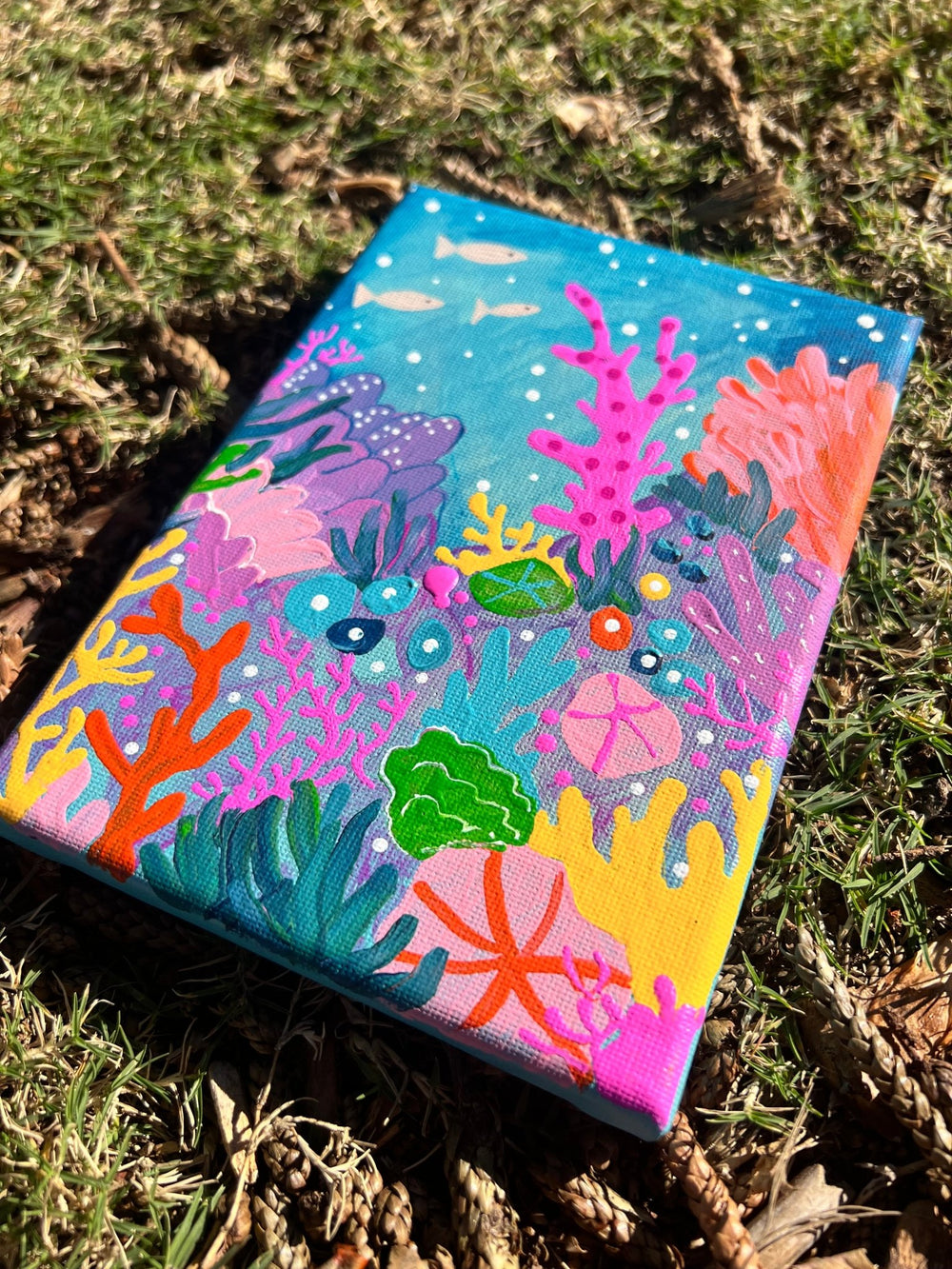 Coral - Mulganai