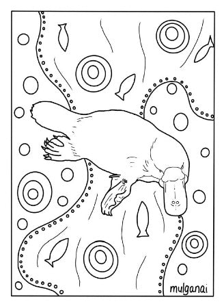 Platypus in the river - Colour-in,,Mulganai,